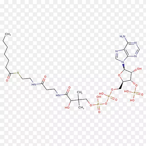 ֱ�ߵ����-������