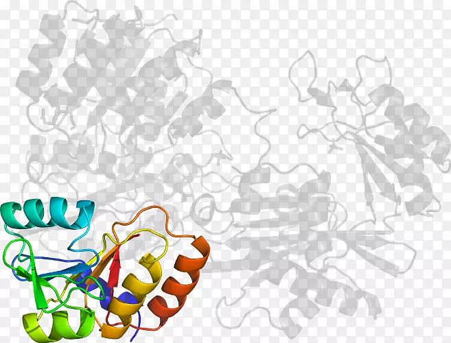 ��ľ������-��-������