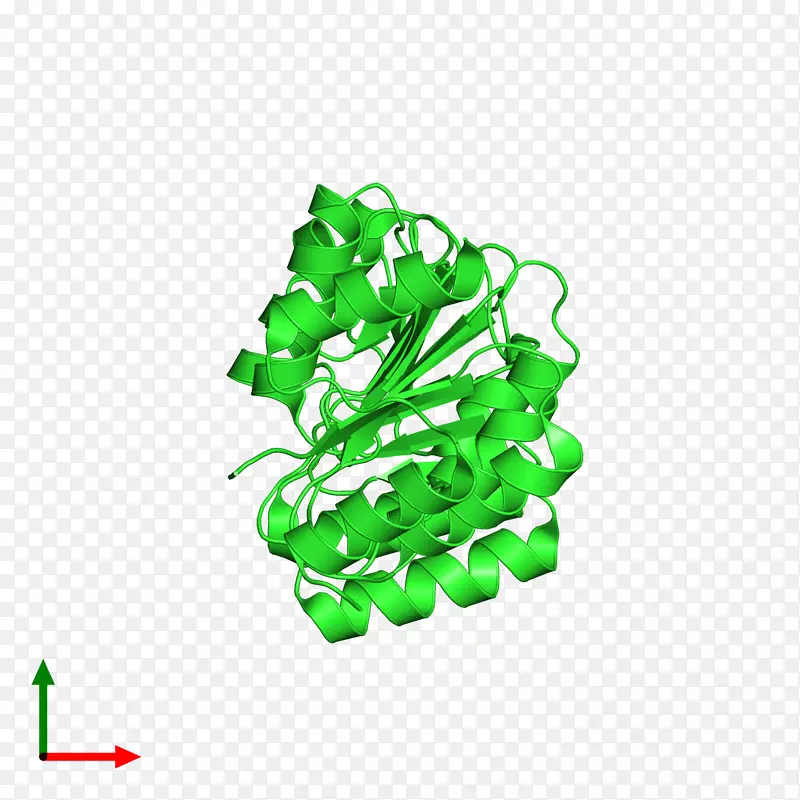 ��-��-������