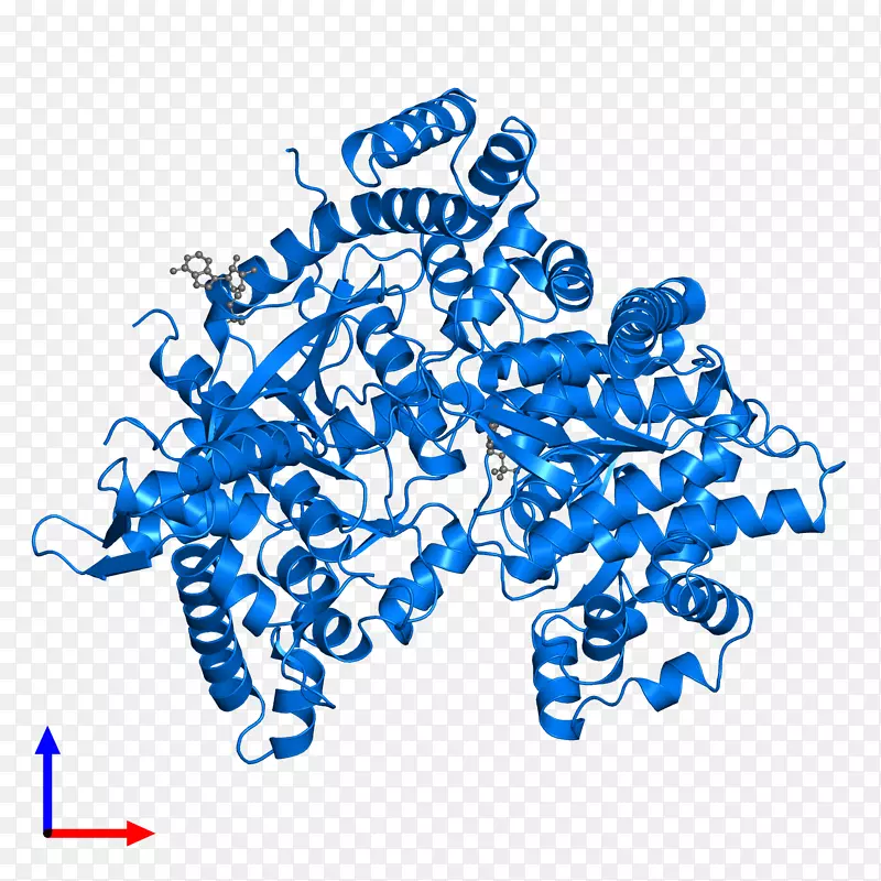 �ߵ������-��-������