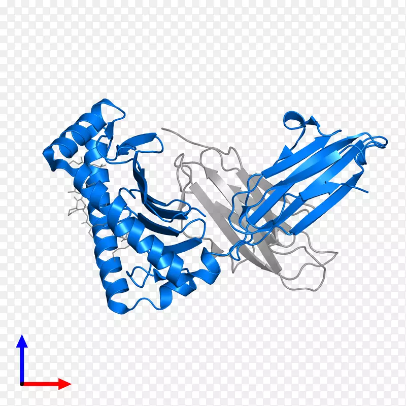 �߼�����-��-������