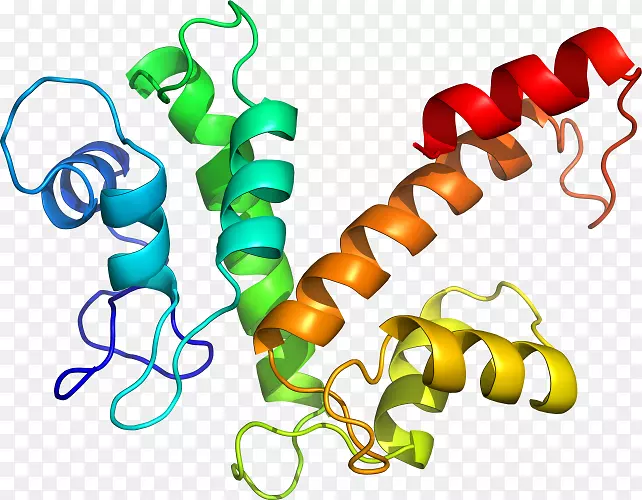 �����鱦�л�������������.�鱦-������