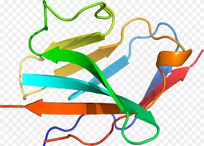 �ߵ������-��-������