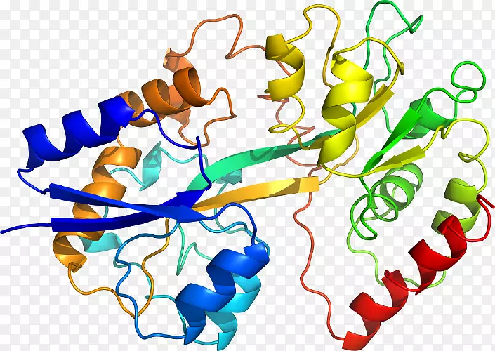 �����߶����������-������