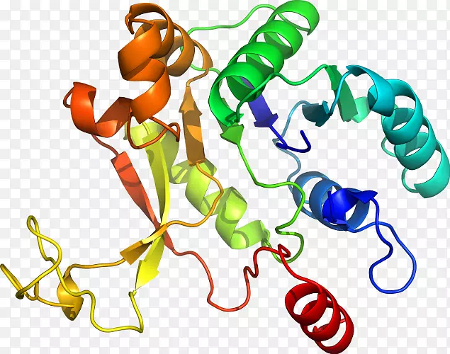 �����߶����������-������