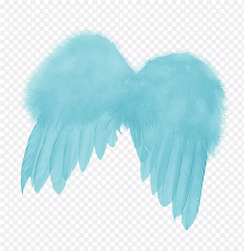 ��ë��ʹ���-��ë-������