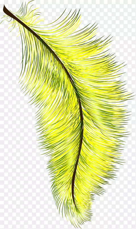 ��ë��ë-������