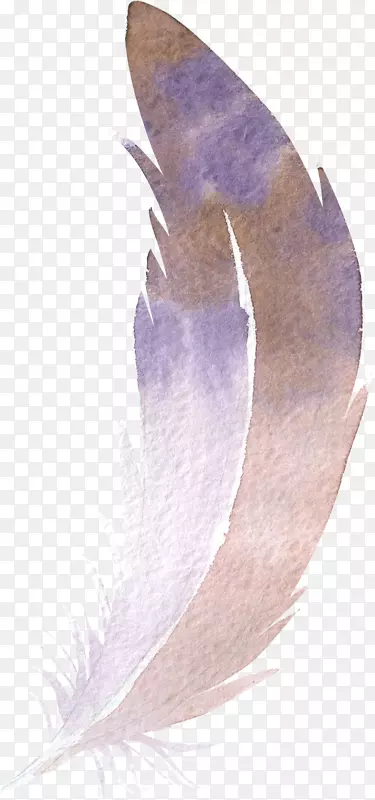 ��ëˮ�ʻ�.��ë-������