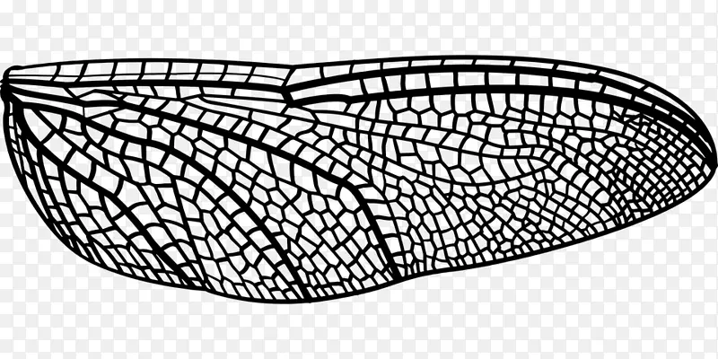 ͼ���ļ���ʽ����-���ѳ��-������