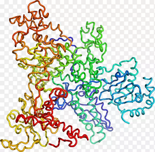 �ߵ������-��-������