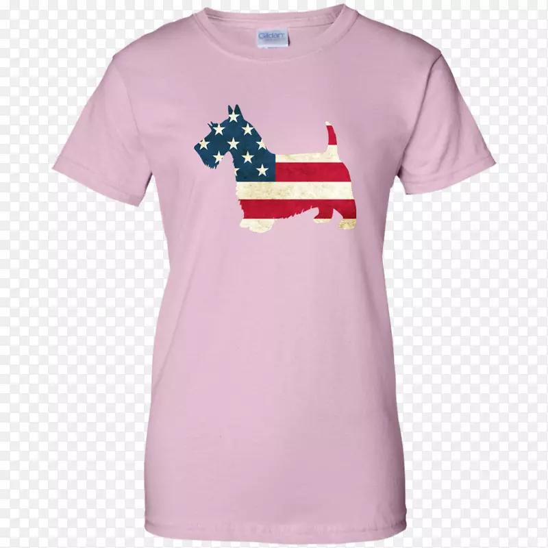 t����ñ������t��-������