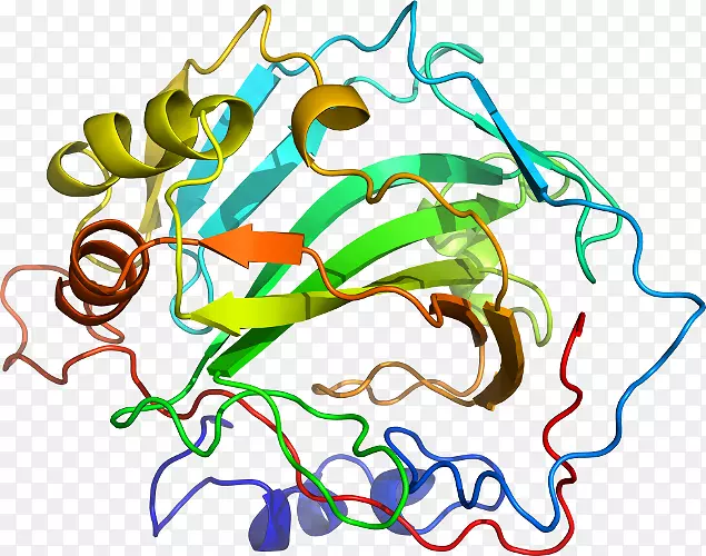 �ߵ�����������-������