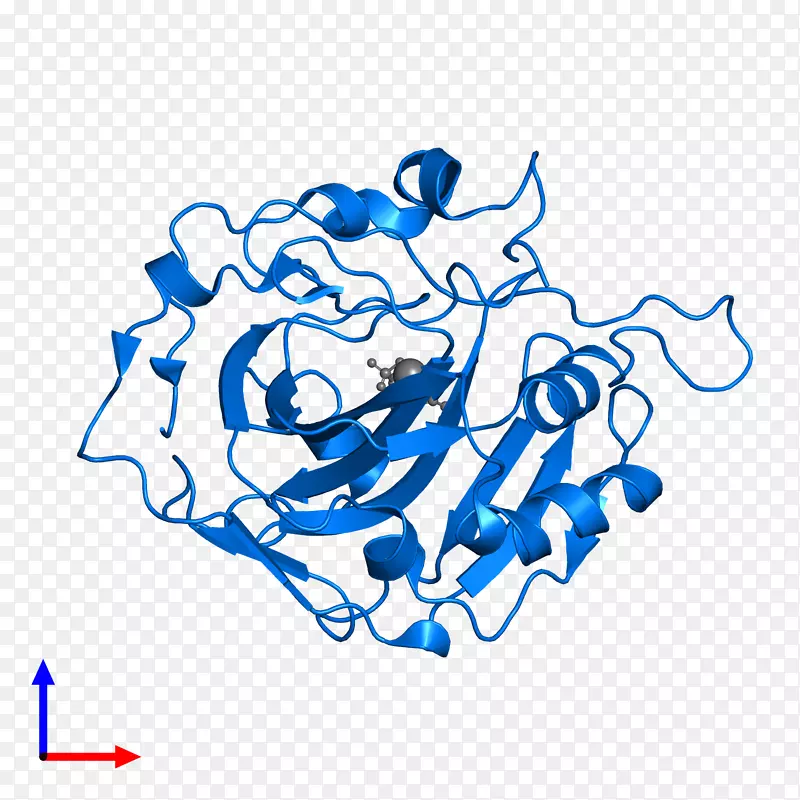 �ߵ������-��-������