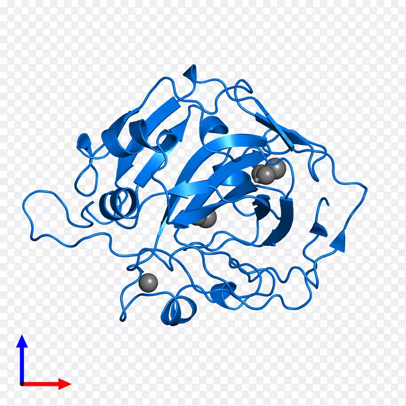 �߼�����-��-������