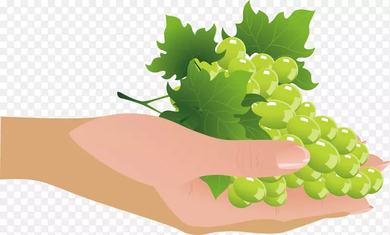 �������Ѹ�װ�����-������