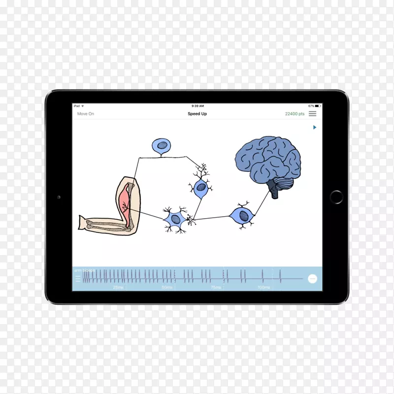 ���Ӷ�ý�����-������