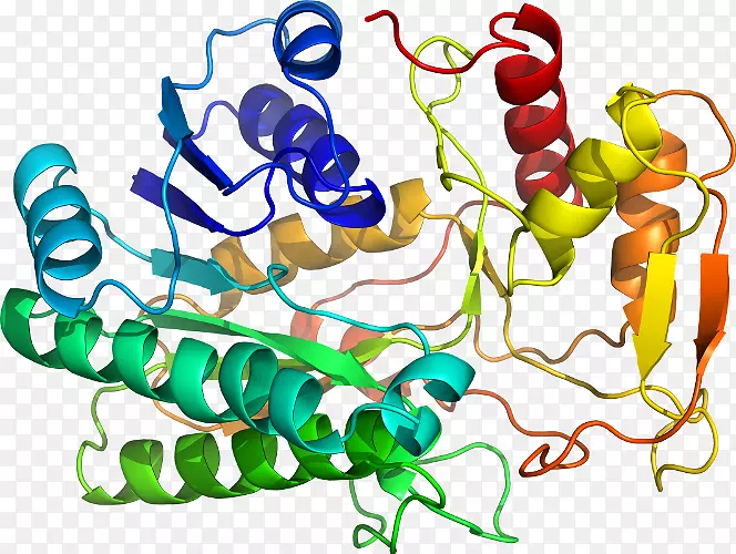 ���������л����߼�������-������