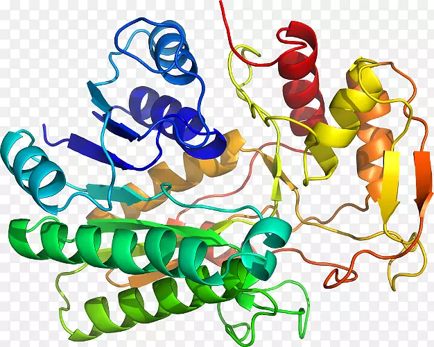 ���������л����߼�������-������