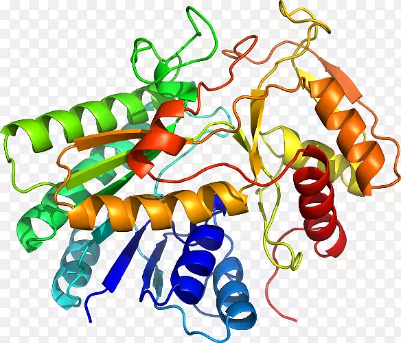 �޼�׵����ʳ��������������-������