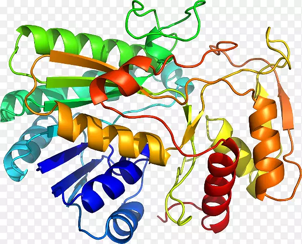 �߲��л���ϵ�м�����-�߲�-������