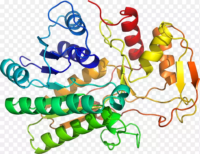 ֱ�ߵ����ﶯ���������-������