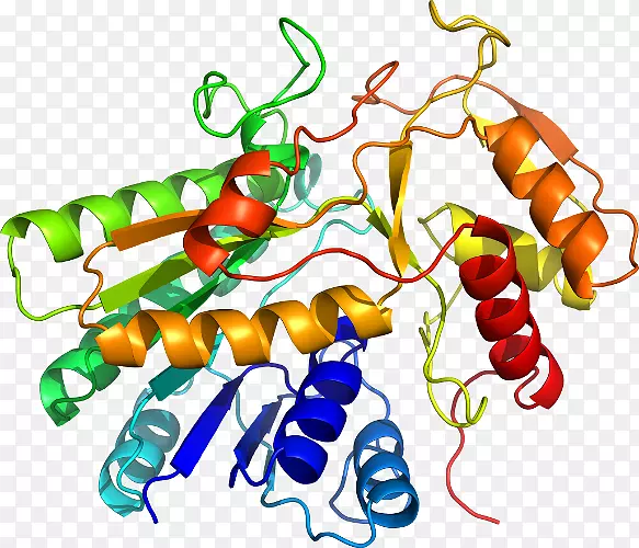 ���������鱦�л����߼�������-������