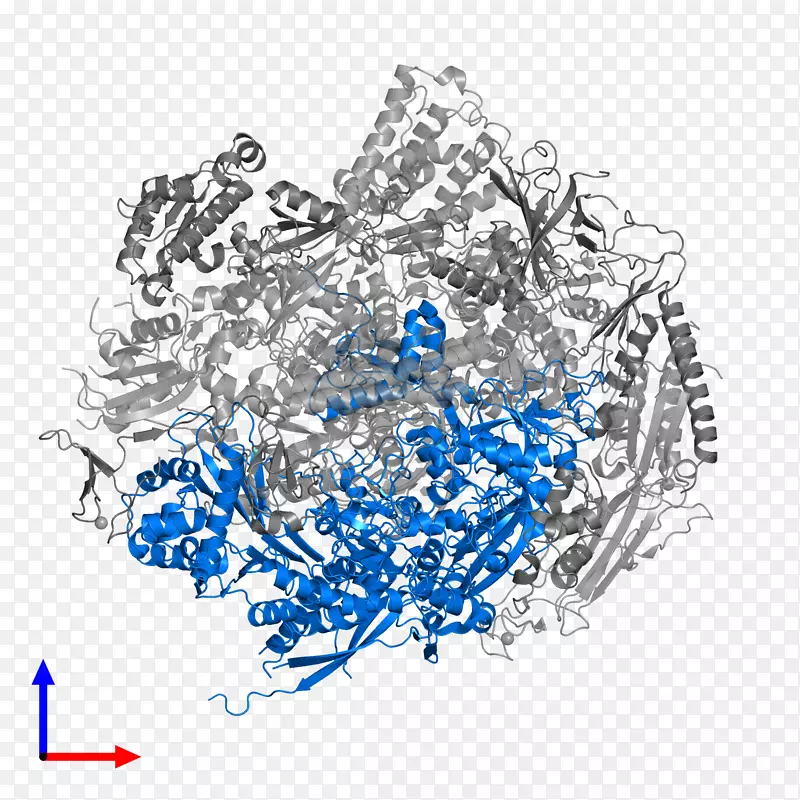 �ߵ���-��-������