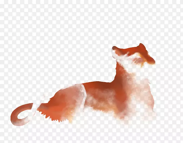 ������è����βè-������