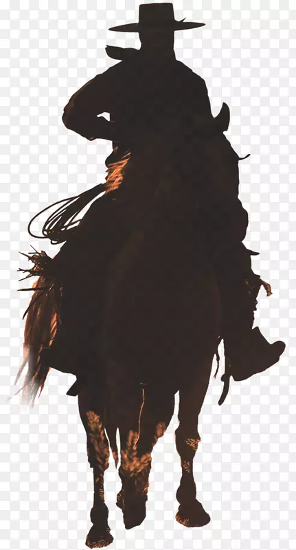 ��������ʽ��β�ƺ�����ʿ��Ť����β��-������