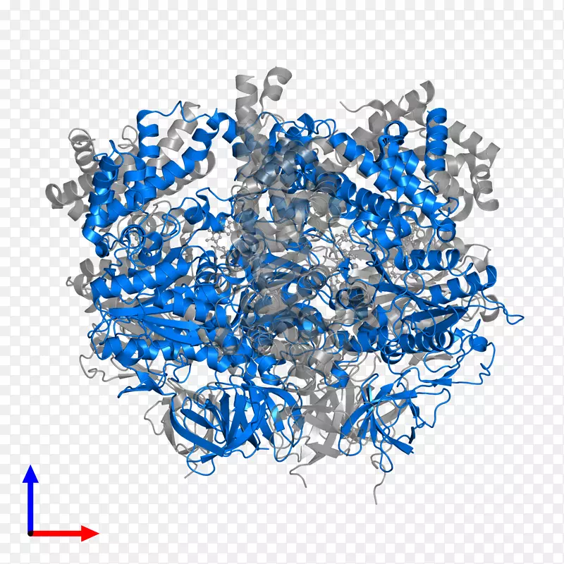 �����鱦������-�鱦-������