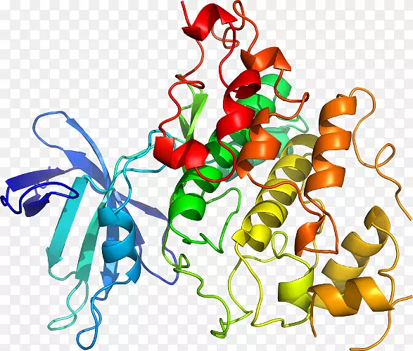 �����߲��߼���������-������