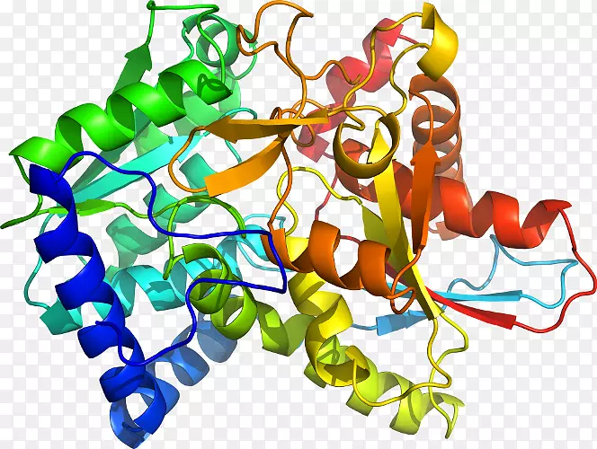 ���߼�����-��-������