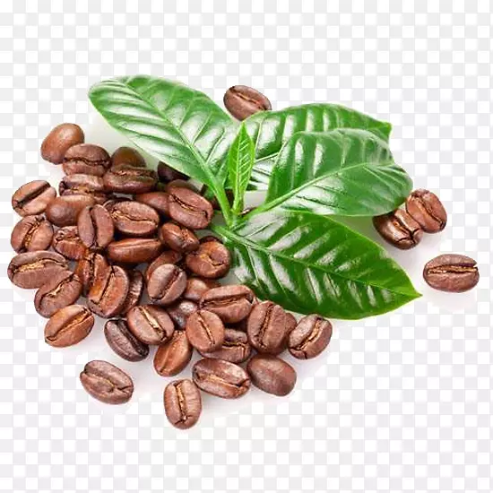 �����俧��Ũ����-������