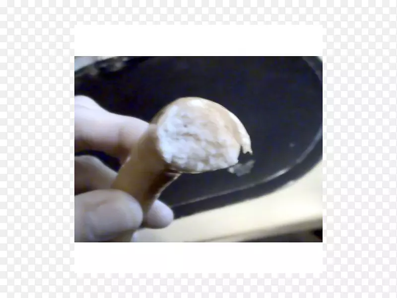 ��ָ-�����˸��㳦-������