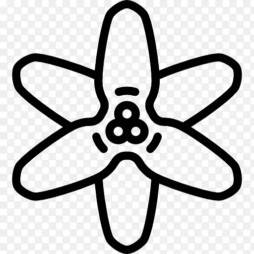 �������ѧ�Ҳ��Ͽ�ѧ-������