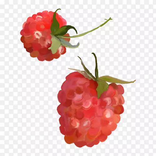 �����Ӳ�ݮ-����������-������