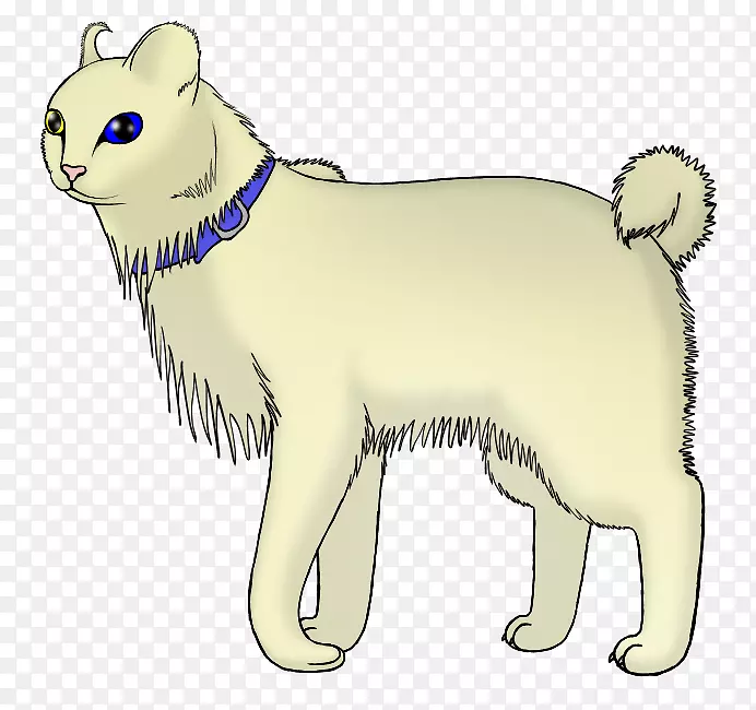 ���룬����è���ӣ�צ��-������