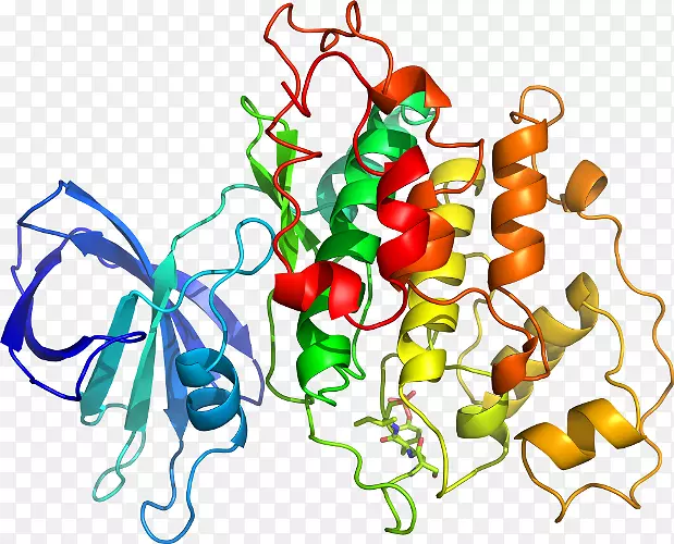 �߲��л���ϵ�ж��������-�߲�-������