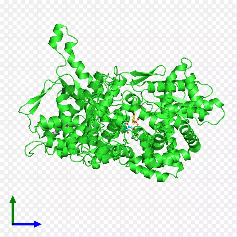 ������ѧϤ���ѧ�����Լ�������-����-������