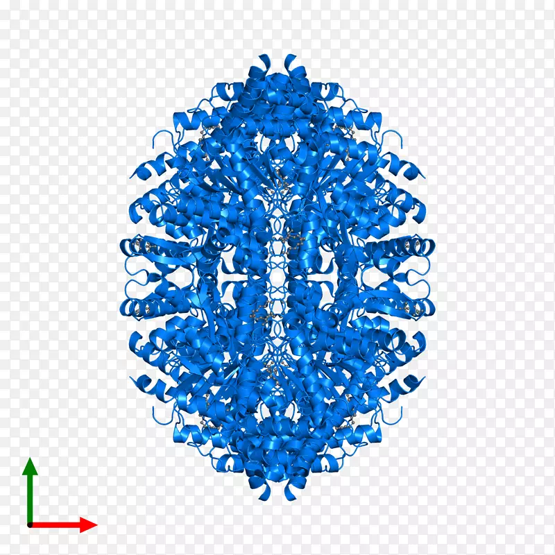 �ߵ���������-������