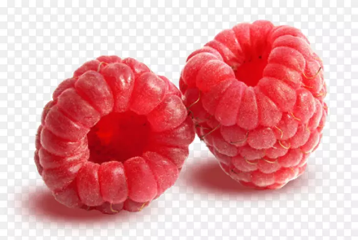 ����ݮ�ɱ�����-��ҵ����֯����ѧ-������