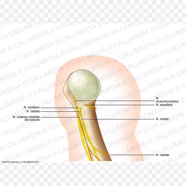 ������-������