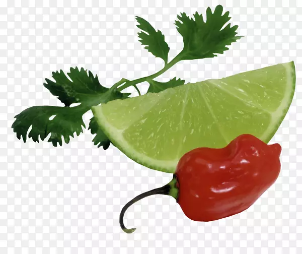 ��ľ��ɫ���������������-������