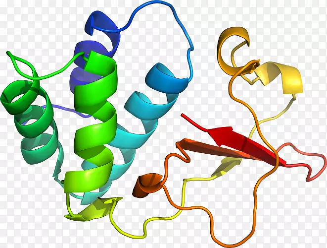 �����߶����������-������