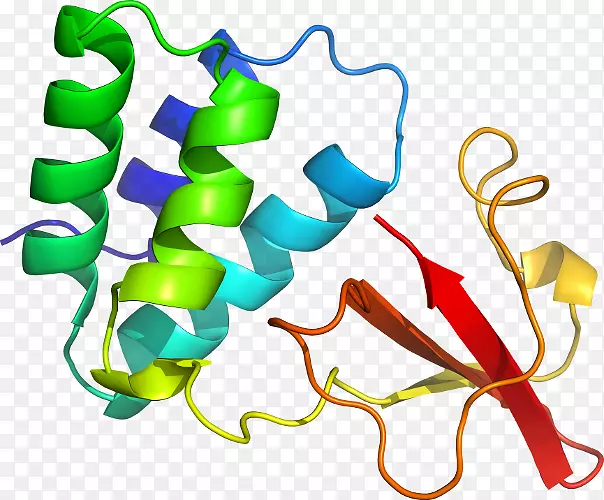 �����鱦���л����������-������