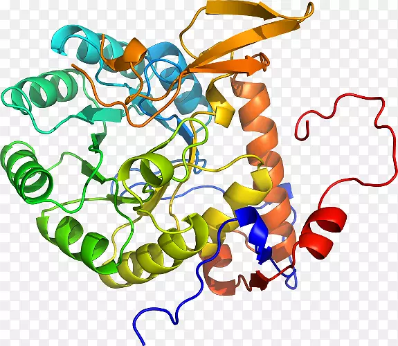 �ߵ������������-������