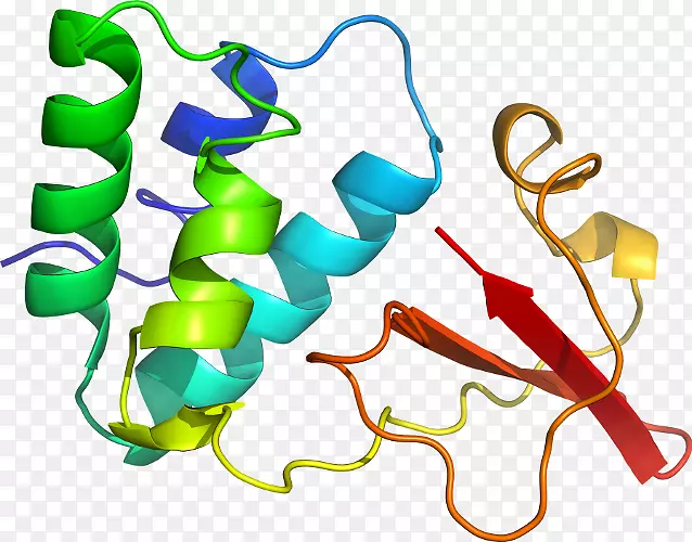 �����鱦���л����������-������