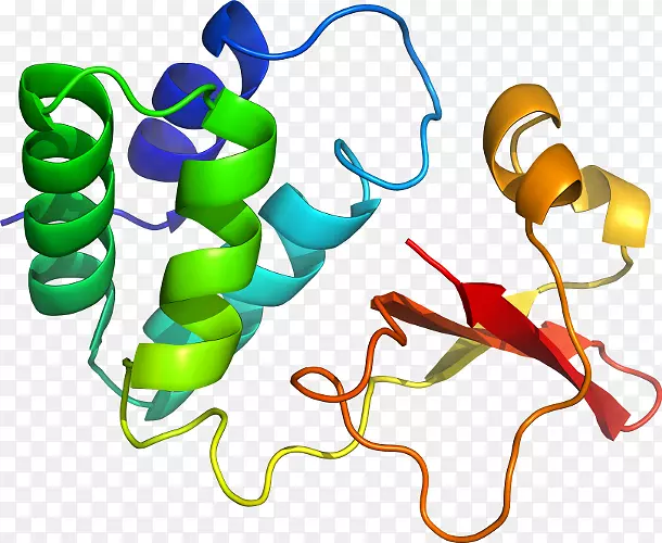 �����鱦������.���-������