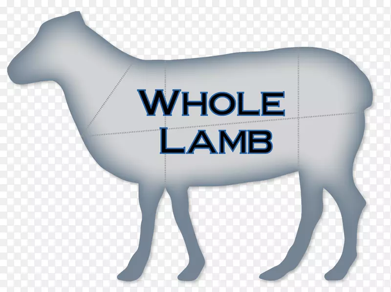 ���������ֱ�־����-��-������