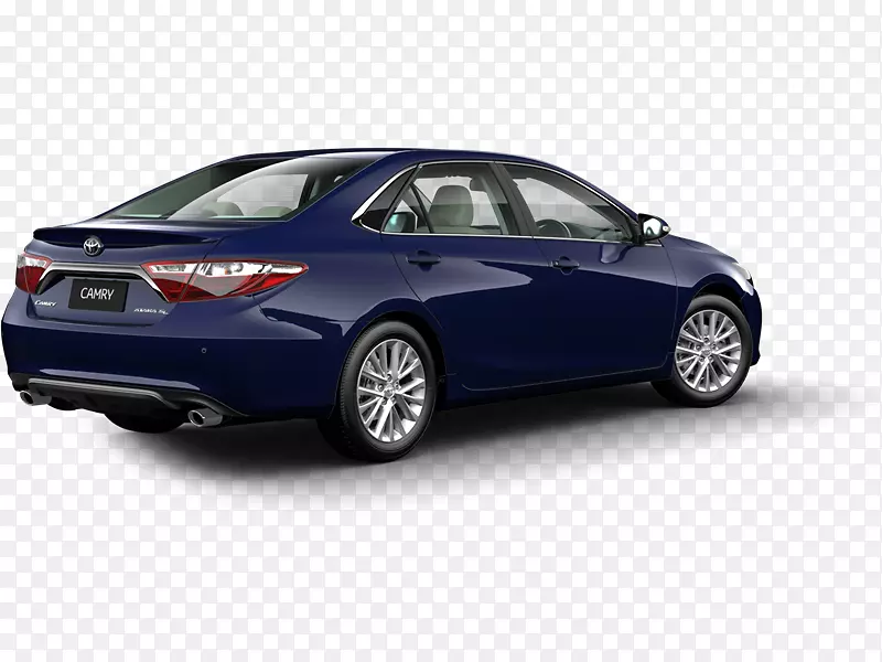 ���ͽγ���С�ͽγ�����ͥ��������-������